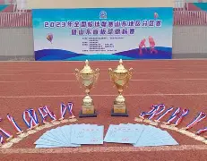 板球夜战：庐州银狐队淘汰对手天山猎隼队，临门一脚致胜战术板得到兑现